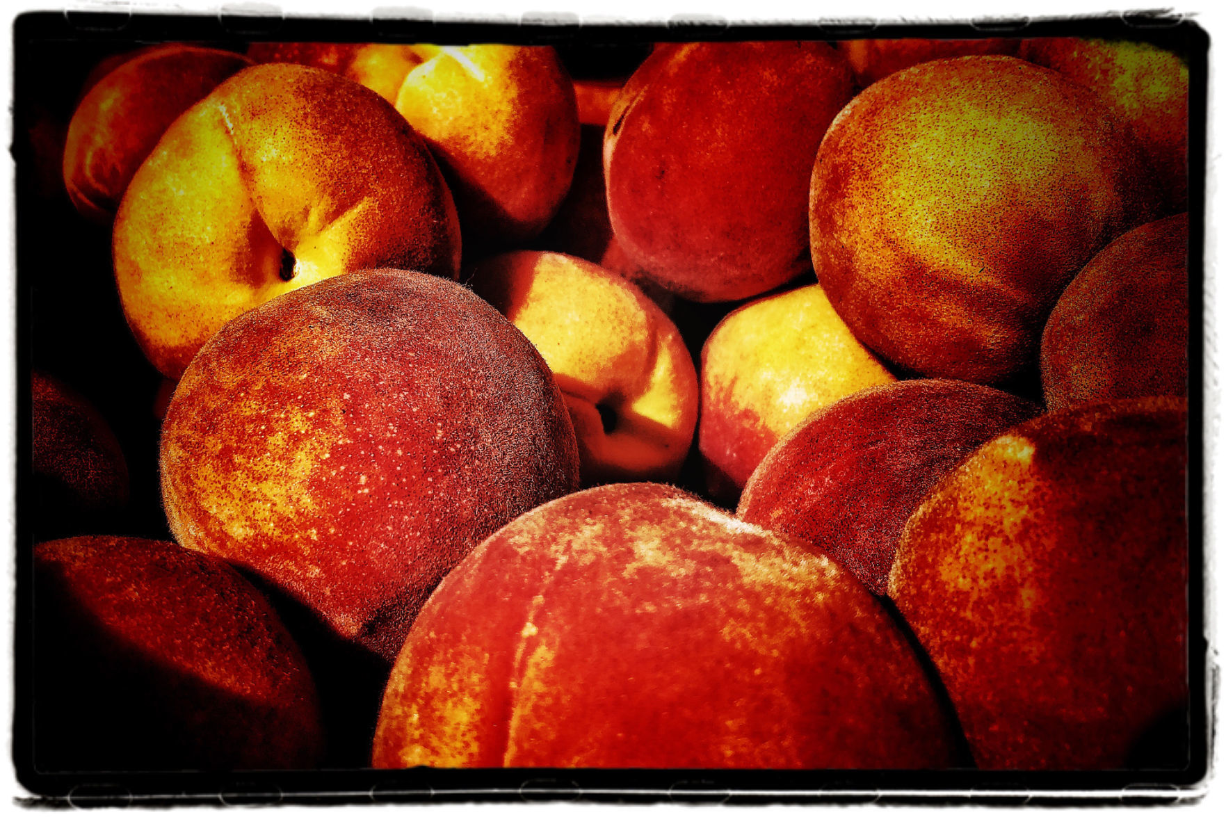 Farmers Market Produce